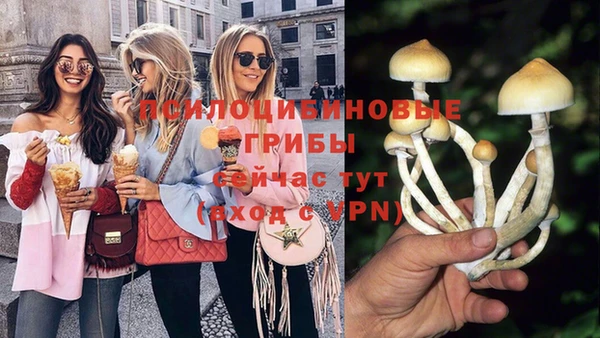 шишки Абинск